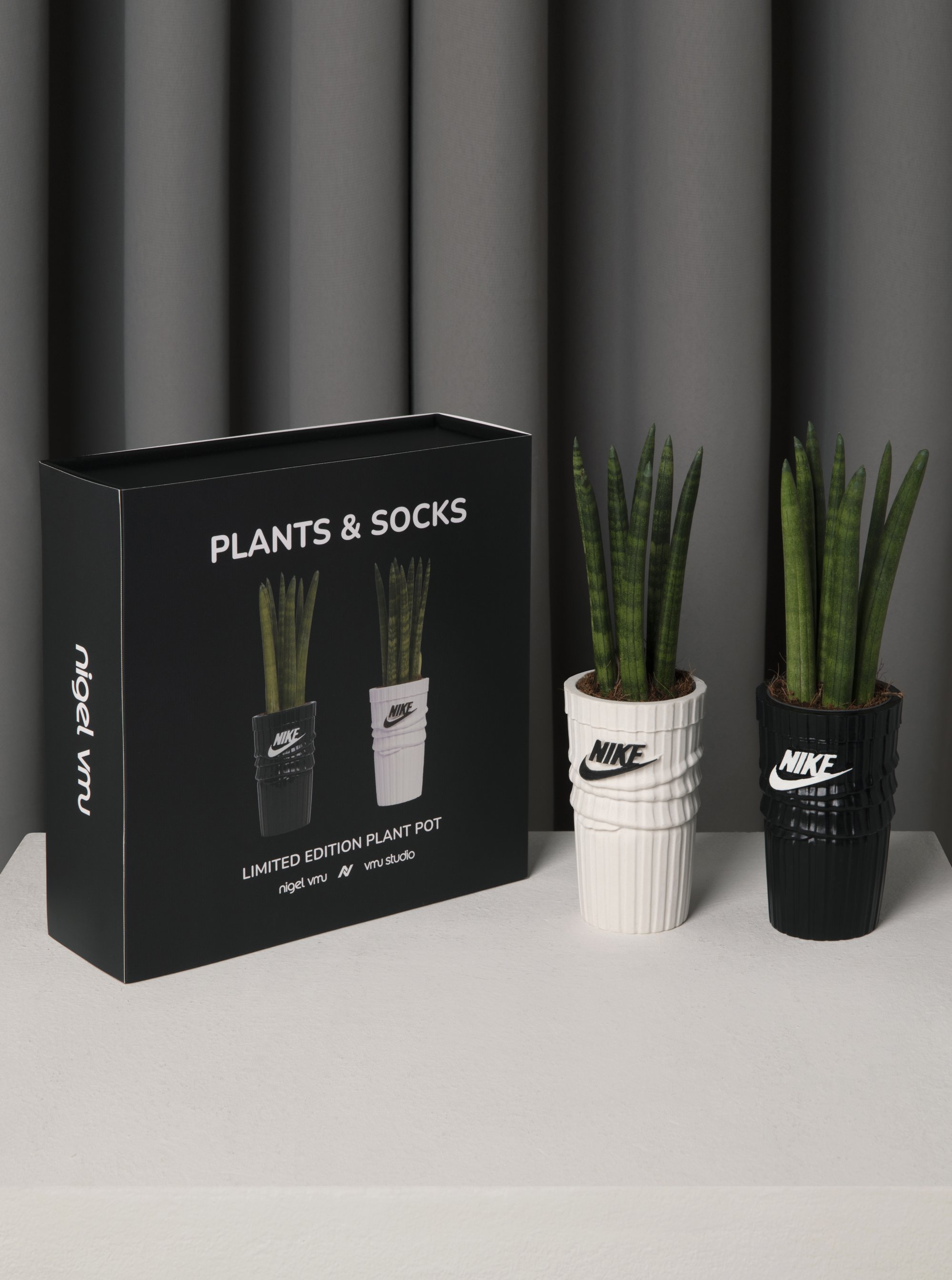 Plants & Socks