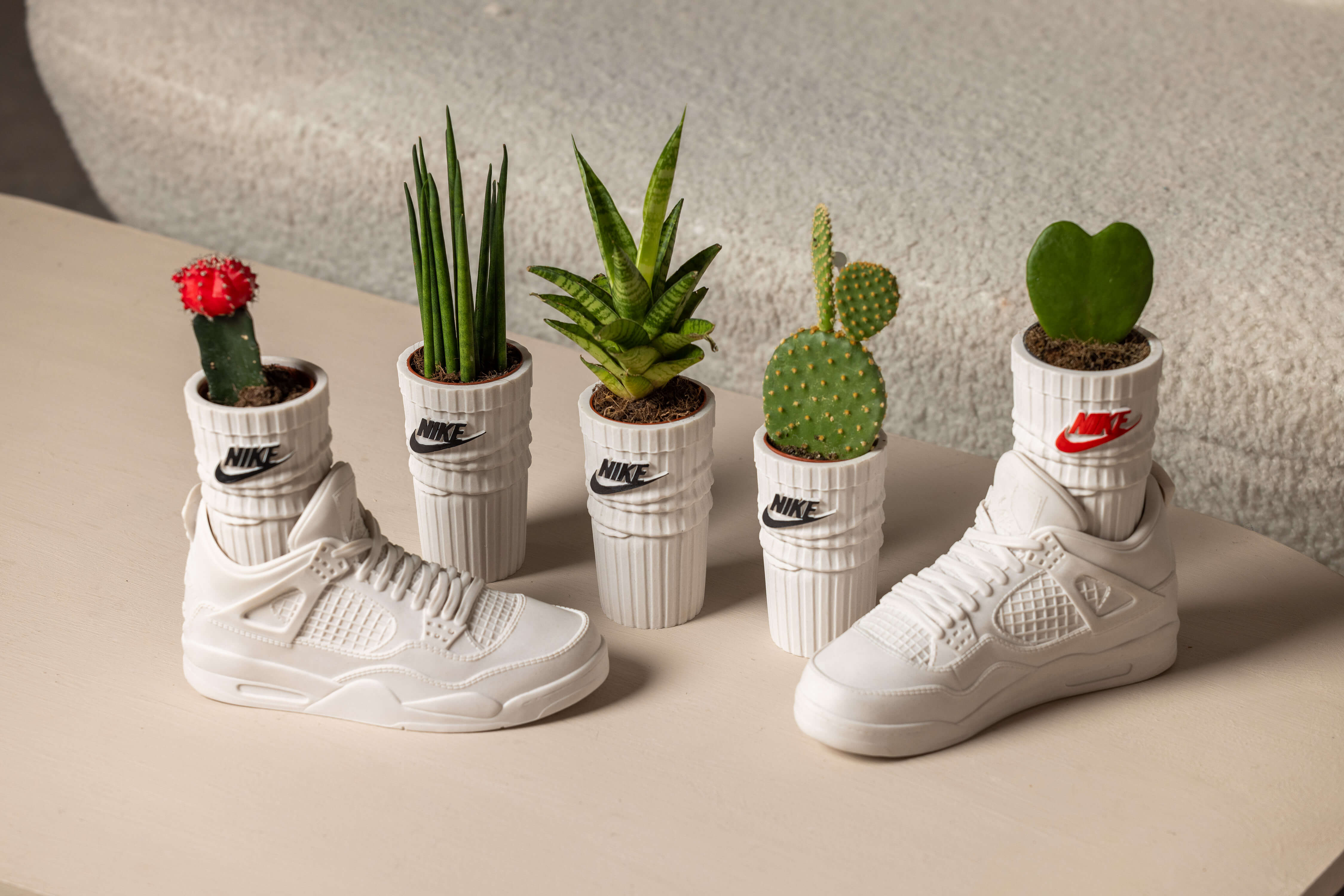 Sneaker Planter